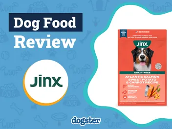 Jinx Dog Food Review 2026: Our Expert’s Opinion
