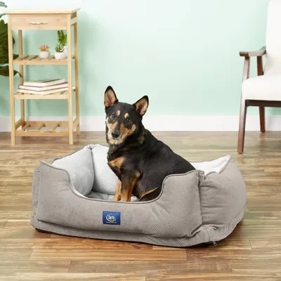 Serta Orthopedic Bolster Dog Bed