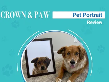 Crown & Paw Pet Portraits Review 2026: An Expert's Breakdown