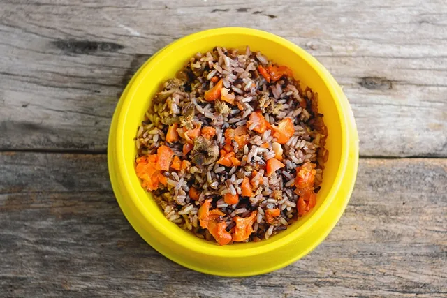 How to Store Homemade Dog Food: 6 Vet-Reviewed Tips