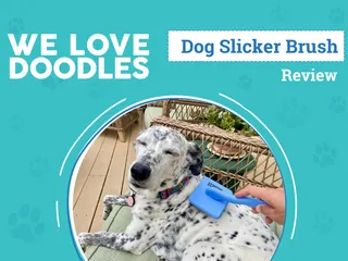 We Love Doodles Slicker Dog Brush Review 2026: An Expert's Breakdown