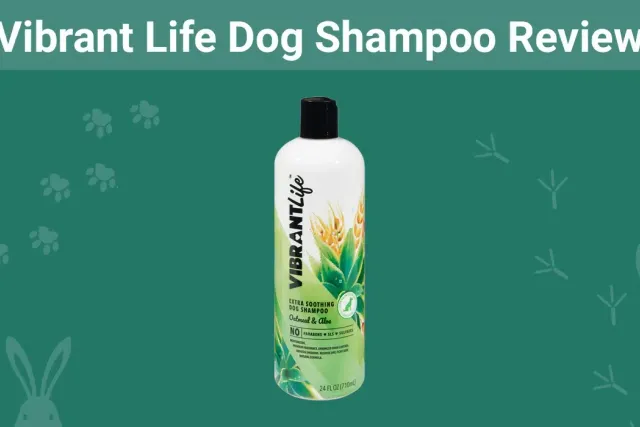 Vibrant Life Dog Shampoo Review 2026: Pros, Cons & Verdict