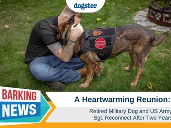 A Heartwarming Reunion: Retired Hero Military Dog and U.S. Army Sgt. Reconnect After Two Years