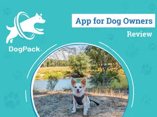 DogPack App Review 2026: The Ultimate Tool for Fido’s Adventures