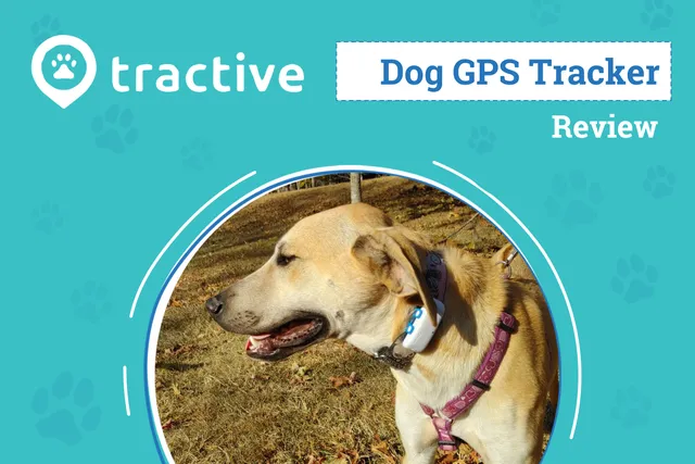 Tractive Dog GPS Tracker 2026 Review: An Expert's Breakdown