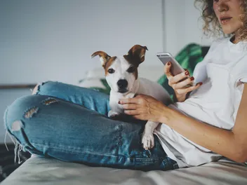 How to Contact a Vet During a Hurricane: 5 Tips for Immediate Support