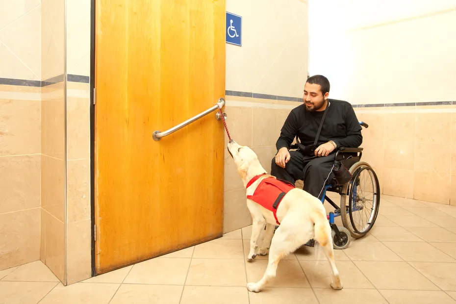 service dog helping owner in wheelchair in the washroom