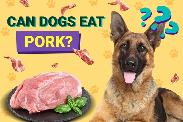 Can Dogs Eat Pork? Vet-Approved Nutrition Facts & FAQ