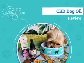 Rare Cannabinoid Company Hawaiian Choice Pet CBD Review 2026: An Expert's Breakdown