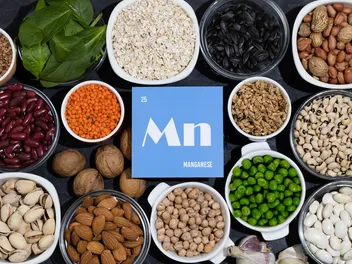 Manganese for Dogs: Benefits, Vet-Reviewed Nutritional Information & Potential Issues