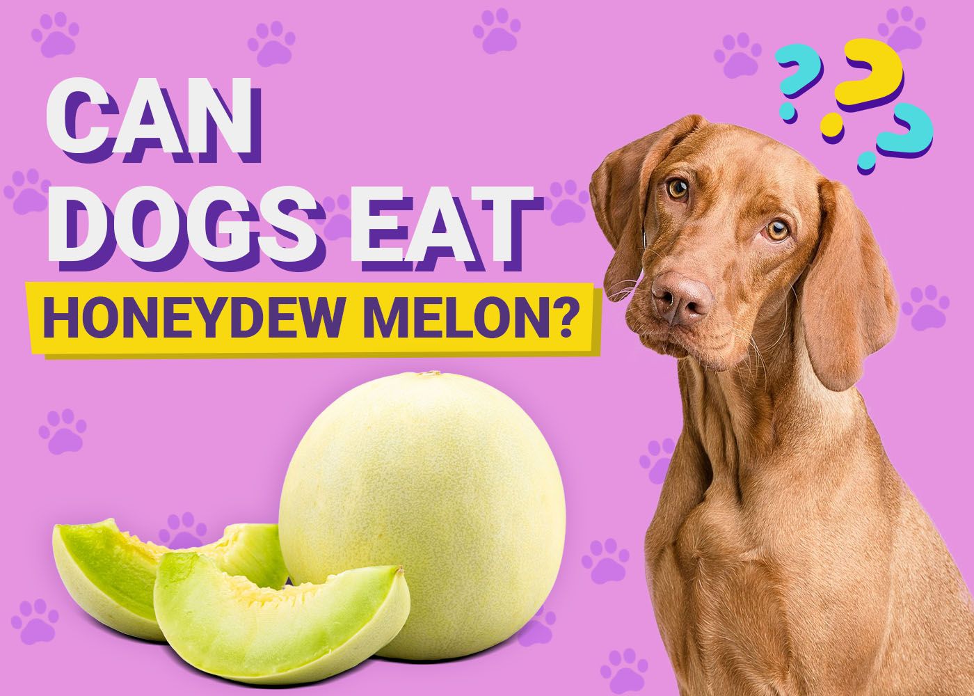 Can Dogs Eat Honeydew Melon