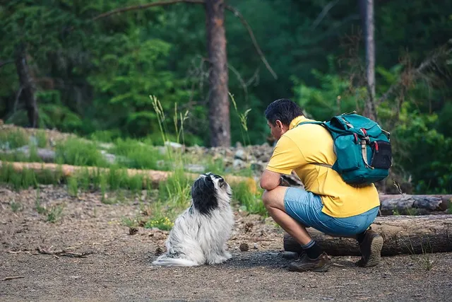 Why Does My Dog Hate Men? 5 Vet-Verified Reasons
