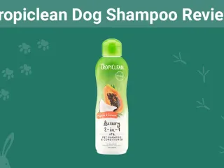 Tropiclean Dog Shampoo Review 2026