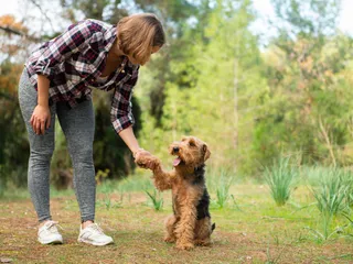 Positive Reinforcement Training for Dogs: Vet-Verified Behavioral Science & Tips