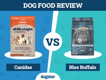 Canidae vs. Blue Buffalo Dog Food: Pros, Cons & What to Choose