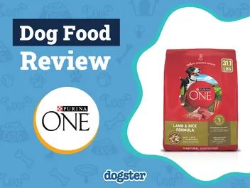 Purina One Lamb and Rice Dog Food Review 2026: Recalls, Pros & Cons