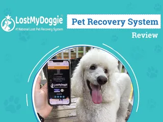 Lost My Doggie Pet Recovery System Review 2026: An Expert's Breakdown