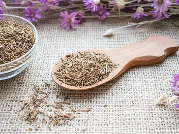 Valerian Root for Dogs: Info, Usage & FAQ (Vet Answer)