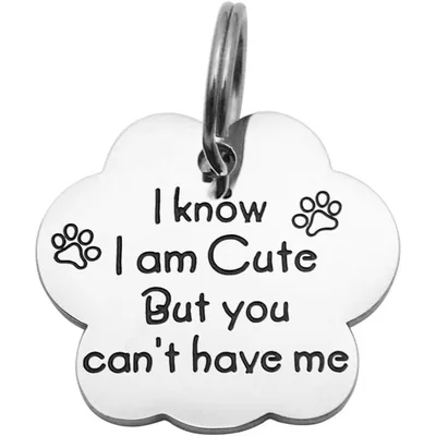 Beeshion Funny Pet Tag Stainless Steel Stamped Pet Tags