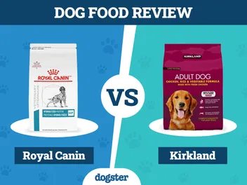 Royal Canin vs Kirkland Dog Food: 2026 Comparison, Pros & Cons