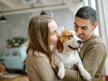 8 Reasons Why Beagles Are the Best Dogs