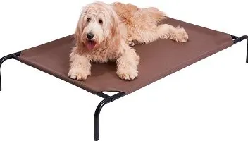 7 Best Indestructible & Chew-Proof Dog Beds in 2026 - Reviews & Top Picks