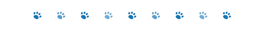 divider dog paws 2 oct 2024