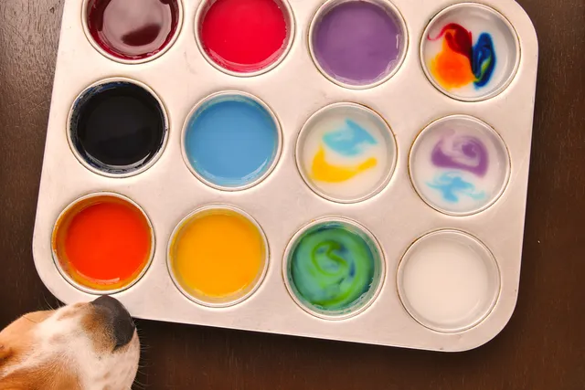 Dog Safe Paint: Vet-Approved Guide