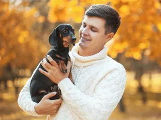 15 Awesome Small Dog Breeds for First Time Owners (With Info & Pictures)