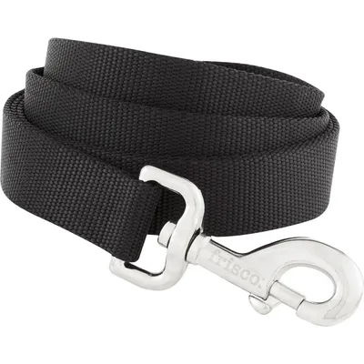 Frisco Solid Nylon Dog Leash