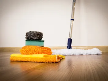 10 Best Mops for Dog Urine in 2026: Reviews & Top Picks