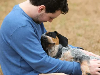 How to Protect Your Dogs If You Die First or Can No Longer Provide Care