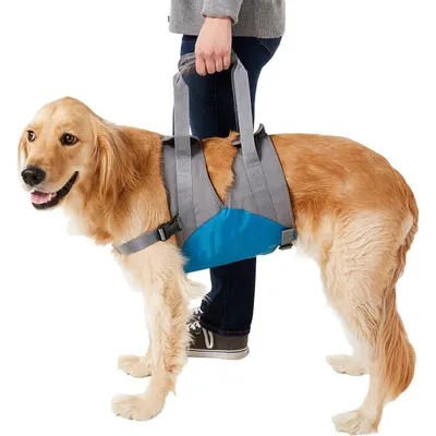 Kurgo Up &amp; About Lifter