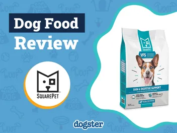 SquarePet Dog Food Review 2026: Recalls, Pros & Cons