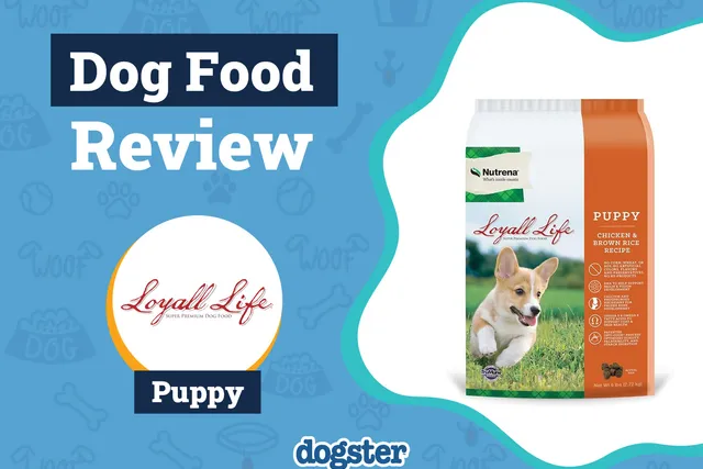 Loyall Life Dog Food Review 2026: Pros, Cons, Recalls & FAQ