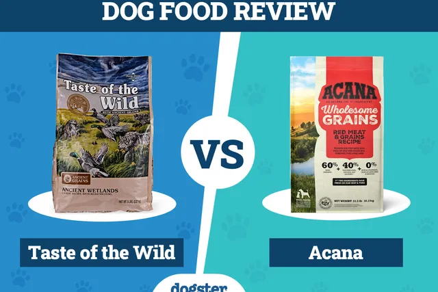 Taste of the Wild vs. Acana Dog Food: Our 2026 In-Depth Comparison