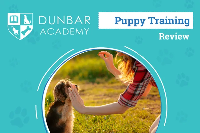 Dunbar Academy Essential Puppy Training Course Review 2026: Our Expert’s Opinion