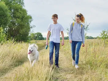 How to Incorporate Your Dog Into Your Wedding? Simple Ideas