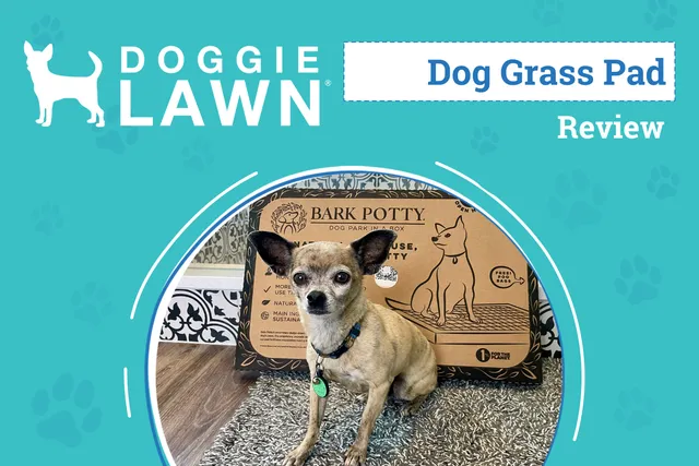 DoggieLawn Review 2026: An Expert's Breakdown