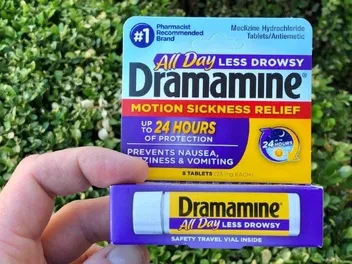 Dramamine For Dogs: Vet-Reviewed Uses & Potential Side Effects