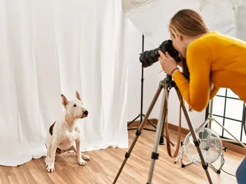 How to Take Pictures of Dogs: 9 Great Tips