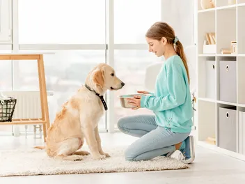 Phosphorus in Dog Food: Vet-Approved Calculation Guide & Health Tips