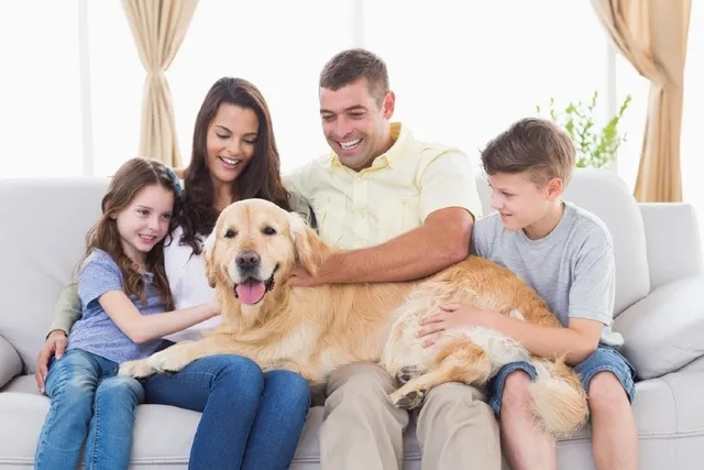 12 Things Only Big Dog Owners Understand: Relatable Memories