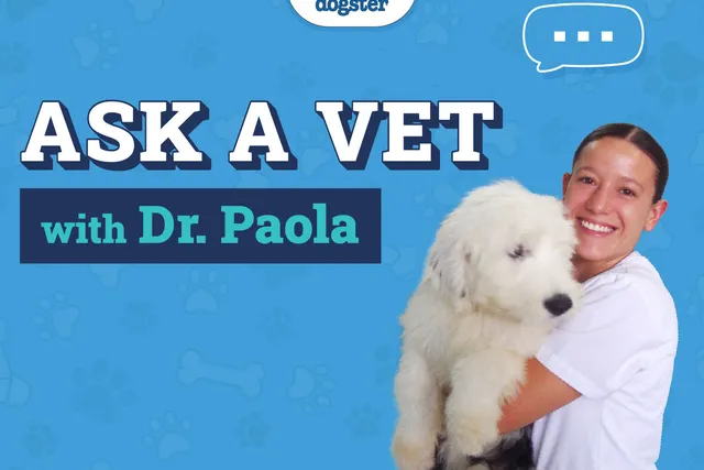 Ask Dr. Paola - Vision Loss, Operations & Seizures (January 13, 2025)