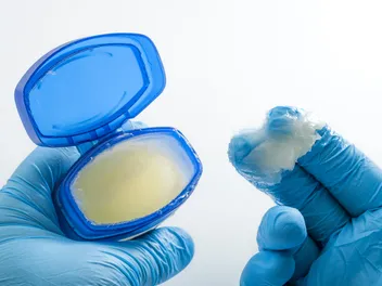 Can I Put Vaseline on My Dog’s Nose? Vet-Verified Facts & Advice