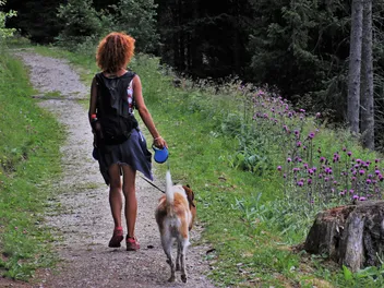 11 Best Retractable Dog Leashes in 2026 - Reviews & Top Picks