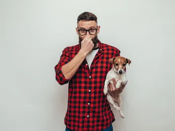 How to Get Rid of Fishy Smell From Your Dog: 6 Vet-Verified Reasons & Tips