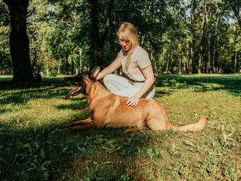 Is a Belgian Malinois Hypoallergenic? Breed Facts & FAQ