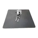 Kluein Pet Playpen Mat