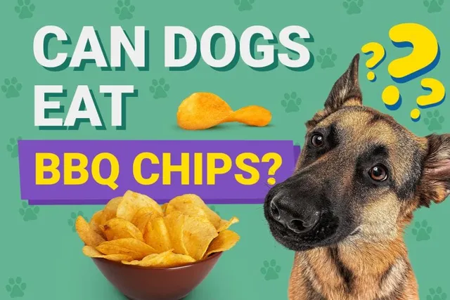 Can Dogs Eat BBQ Chips? Vet-Approved Facts & FAQ